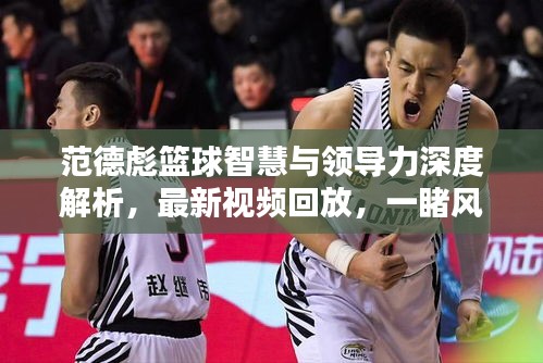 范德彪篮球智慧与领导力深度解析,最新视频回放,一睹风采