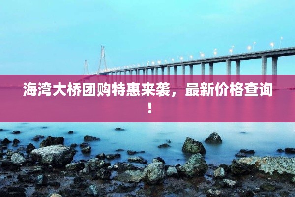 海湾大桥团购特惠来袭,最新价格查询!