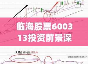 临海股票600313投资前景深度解析,把握机遇,洞悉市场趋势