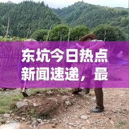 东坑今日热点新闻速递,最新消息一览无余