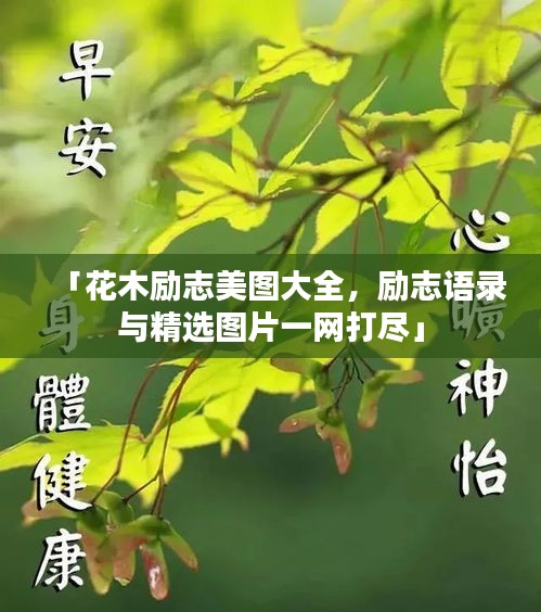 「花木励志美图大全,励志语录与精选图片一网打尽」