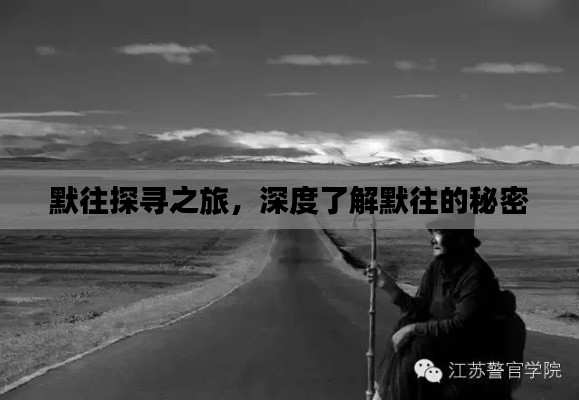 默往探寻之旅，深度了解默往的秘密