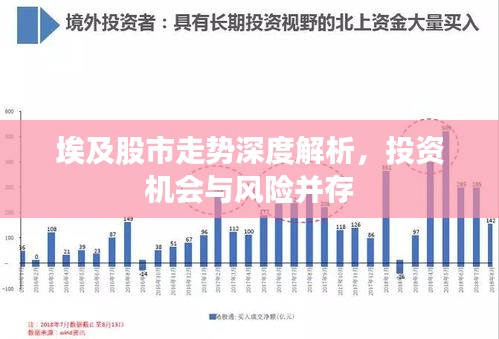 埃及股市走势深度解析,投资机会与风险并存
