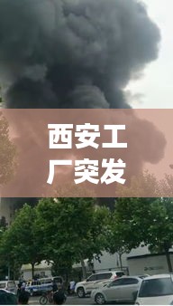 各就各位 第3页