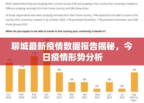 聊城最新疫情数据报告揭秘，今日疫情形势分析