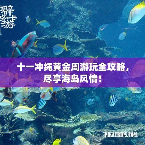 十一冲绳黄金周游玩全攻略,尽享海岛风情!