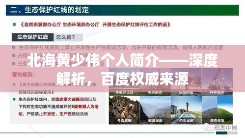 北海黄少伟个人简介——深度解析,百度权威来源