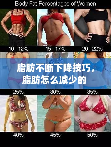 脂肪不断下降技巧,脂肪怎么减少的
