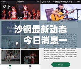 沙钢最新动态,今日消息一网打尽!