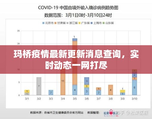 玛桥疫情最新更新消息查询，实时动态一网打尽