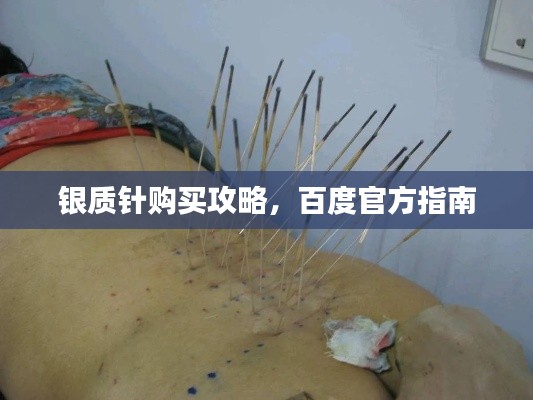 银质针购买攻略,百度官方指南