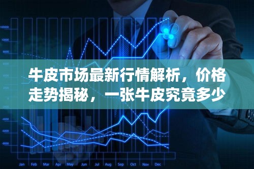 牛皮市场最新行情解析,价格走势揭秘,一张牛皮究竟多少钱?