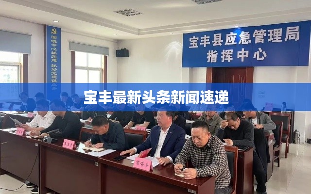 宝丰最新头条新闻速递