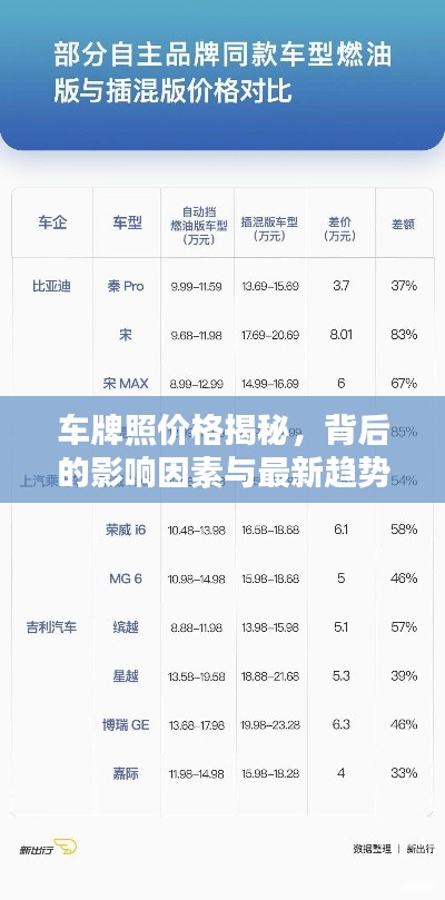 车牌照价格揭秘,背后的影响因素与最新趋势分析