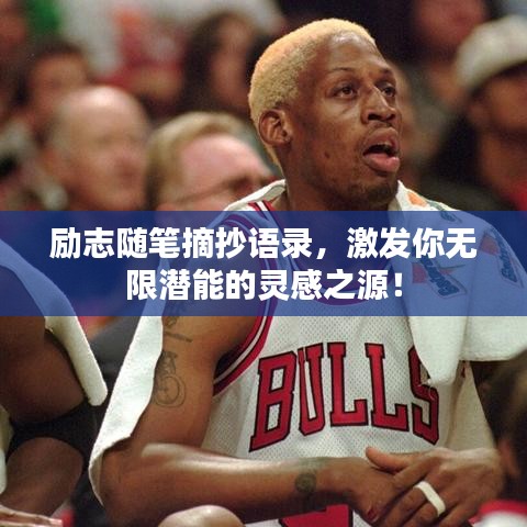 励志随笔摘抄语录,激发你无限潜能的灵感之源!