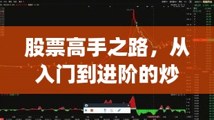 股票高手之路,从入门到进阶的炒股票策略全解析